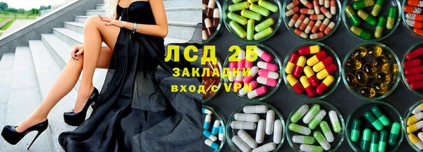 индика Абинск