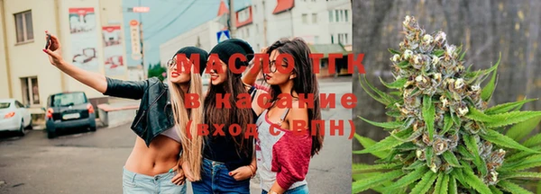 крисы Абаза