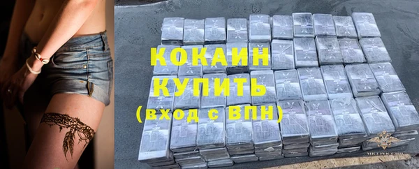 индика Абинск