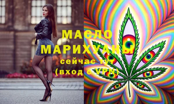 индика Абинск